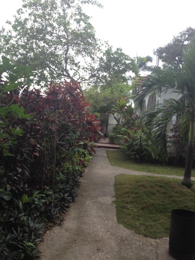 15 Min From The Airport In Kingston Jamaica Apartment Ngoại thất bức ảnh