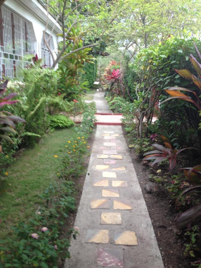 15 Min From The Airport In Kingston Jamaica Apartment Ngoại thất bức ảnh